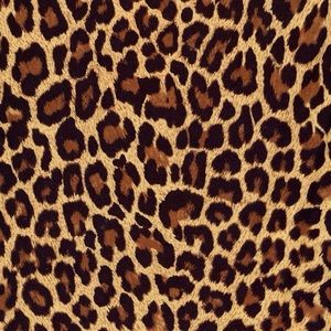 Meet your Posher, Kari